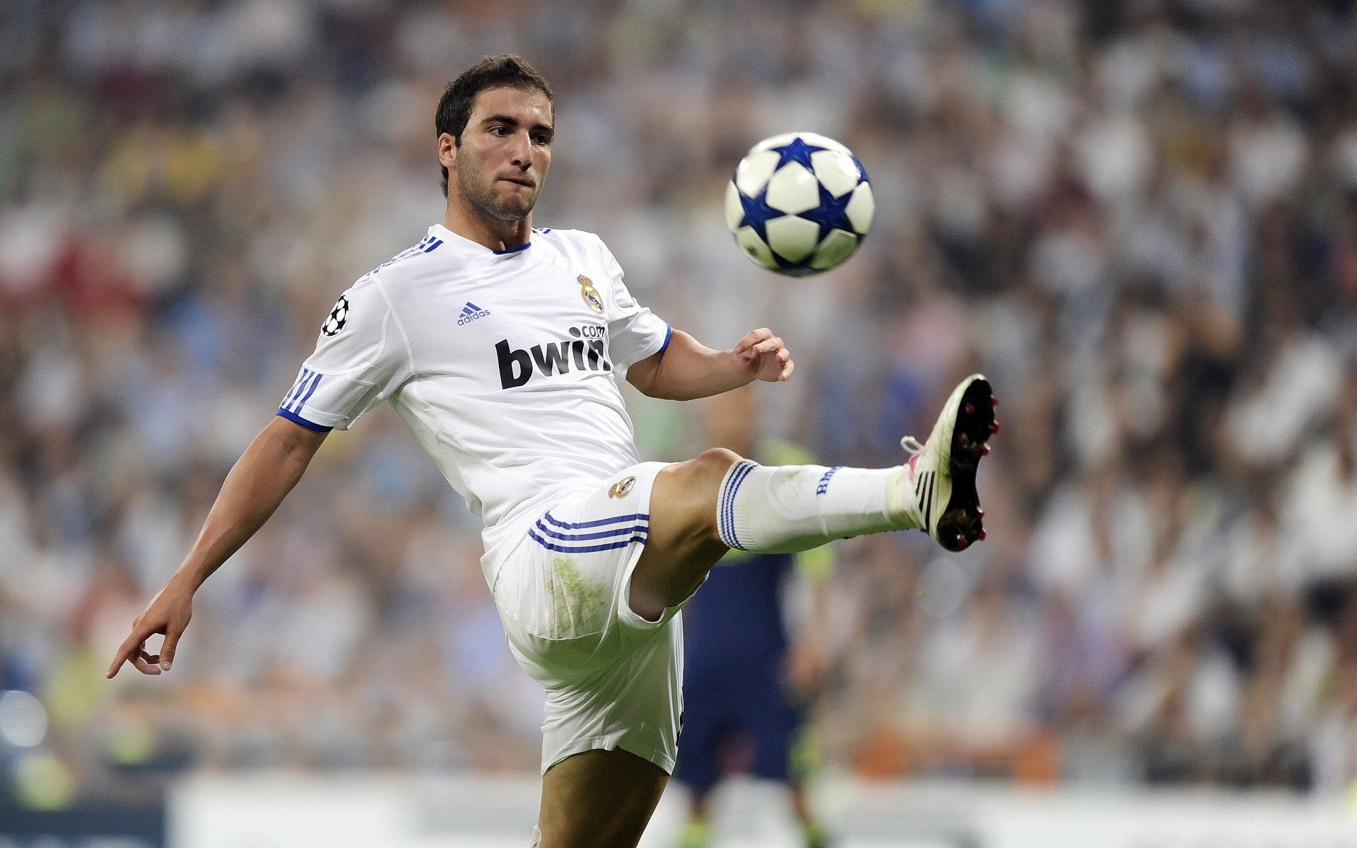 伊朗马术协会推出马术运动员健康管理系统，关注运动员身心健康。